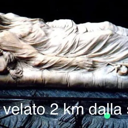 Dg Lovely * Naples