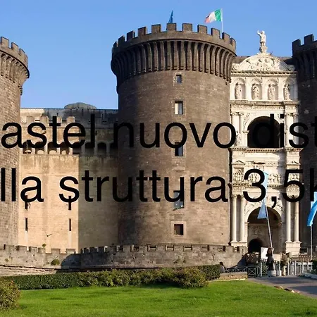 Dg Lovely Naples